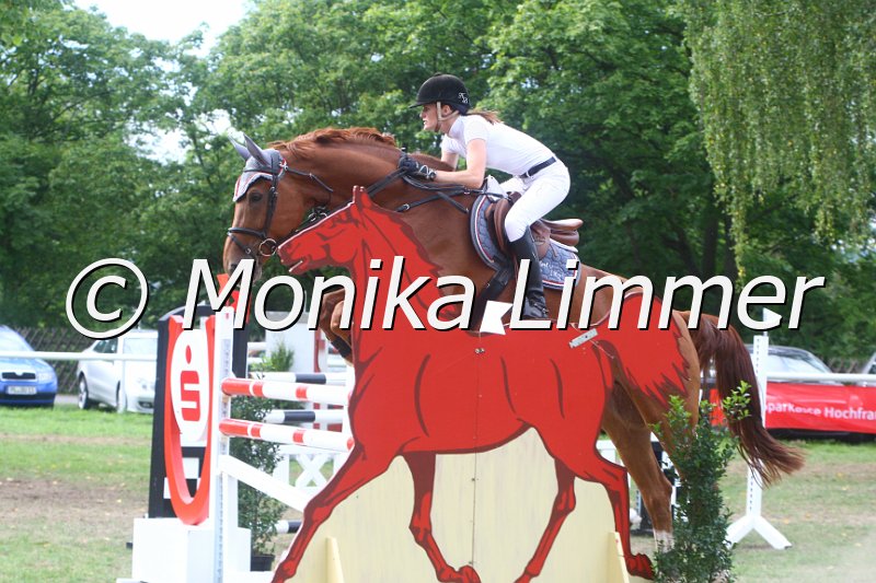 308M3924_Leonidas_Zwei Phasen Sx.JPG